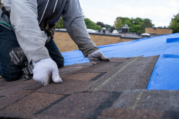 Professional Roofing Contractor in Linwood, PA